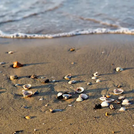 In 36525 * Bibione